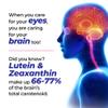 AFC Japan Diamond Vision PRO  Improved, Up-Sized Formula - Lutein & Zeaxanthin 4X with Eye Vitamins  Visual Health Supplement for Adults, Screen Exposure, Night Use, 60 Softgels view 4