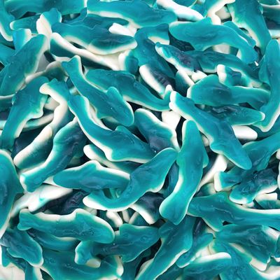 Blue Sharks Gummy Candy | 1 Pound Bulk Bag | Raspberry Marshmallow Flavors