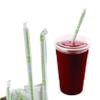 [4500 Pack] Clear Biodegradable Plant Based Wrapped Straws - BPA Free - Eco Friendly Straws - biodegradable - 100% Compostable - Drinking Straws Great for Parties, Office, Restaurants (15 Box) view 1