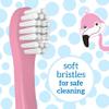 Dr. Brown's Baby and Toddler Toothbrush, Flamingo 1-Pack, 1-4 Years view 4
