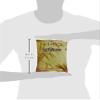 Patanjali Dalia, 500g pulse healthy diet food breakfast meal millet pure Patanjali view 3