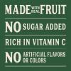 Tree Top Apple Sauce Pouches, Strawberry Flavor, 3.2 oz. pouches (Pack of 12) view 4