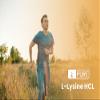 Pure Original Ingredients L-Lysine HCl (1lb) Alpha Amino Acid, Non-GMO, Gluten-Free view 3