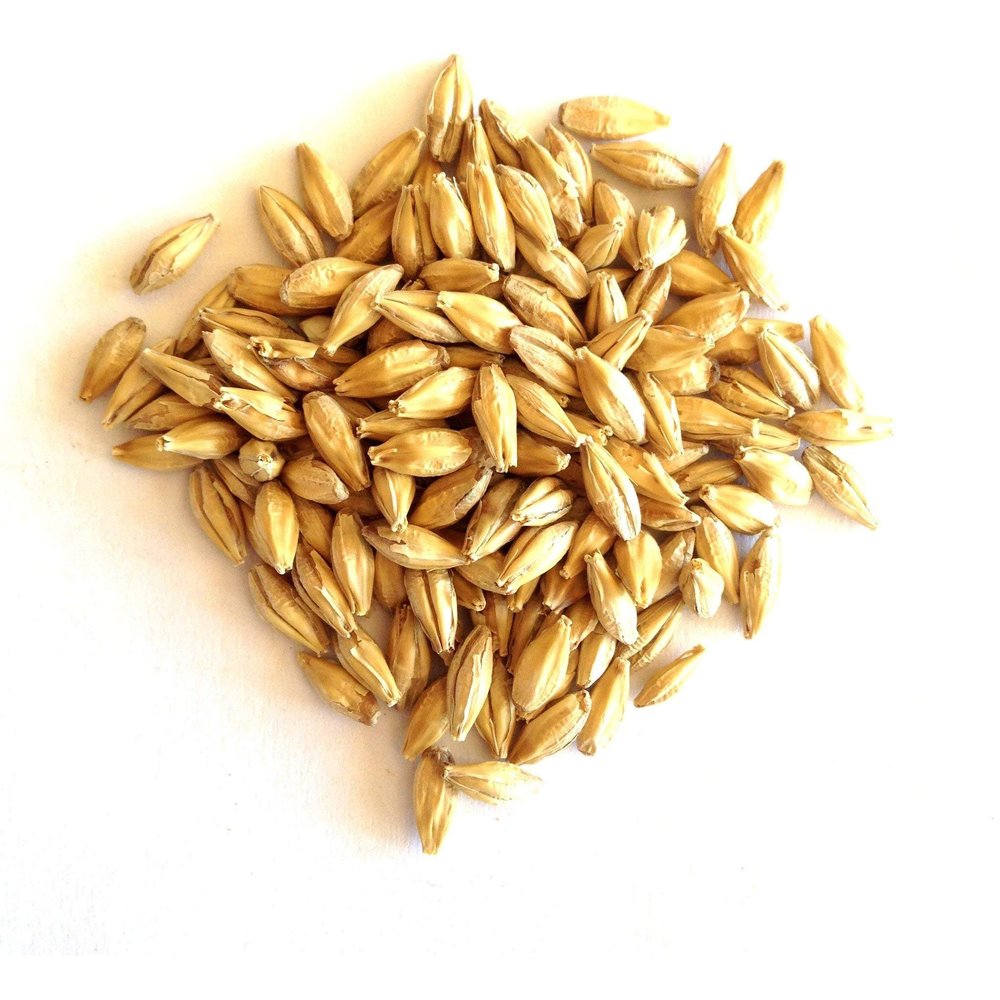 RAHR 2-Row Malted Barley 2 LBS Crushed Home Brewing Beer Making Recipe Ingredients Vacuum Sealed