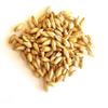 RAHR 2-Row Malted Barley 2 LBS Crushed Home Brewing Beer Making Recipe Ingredients Vacuum Sealed view 1