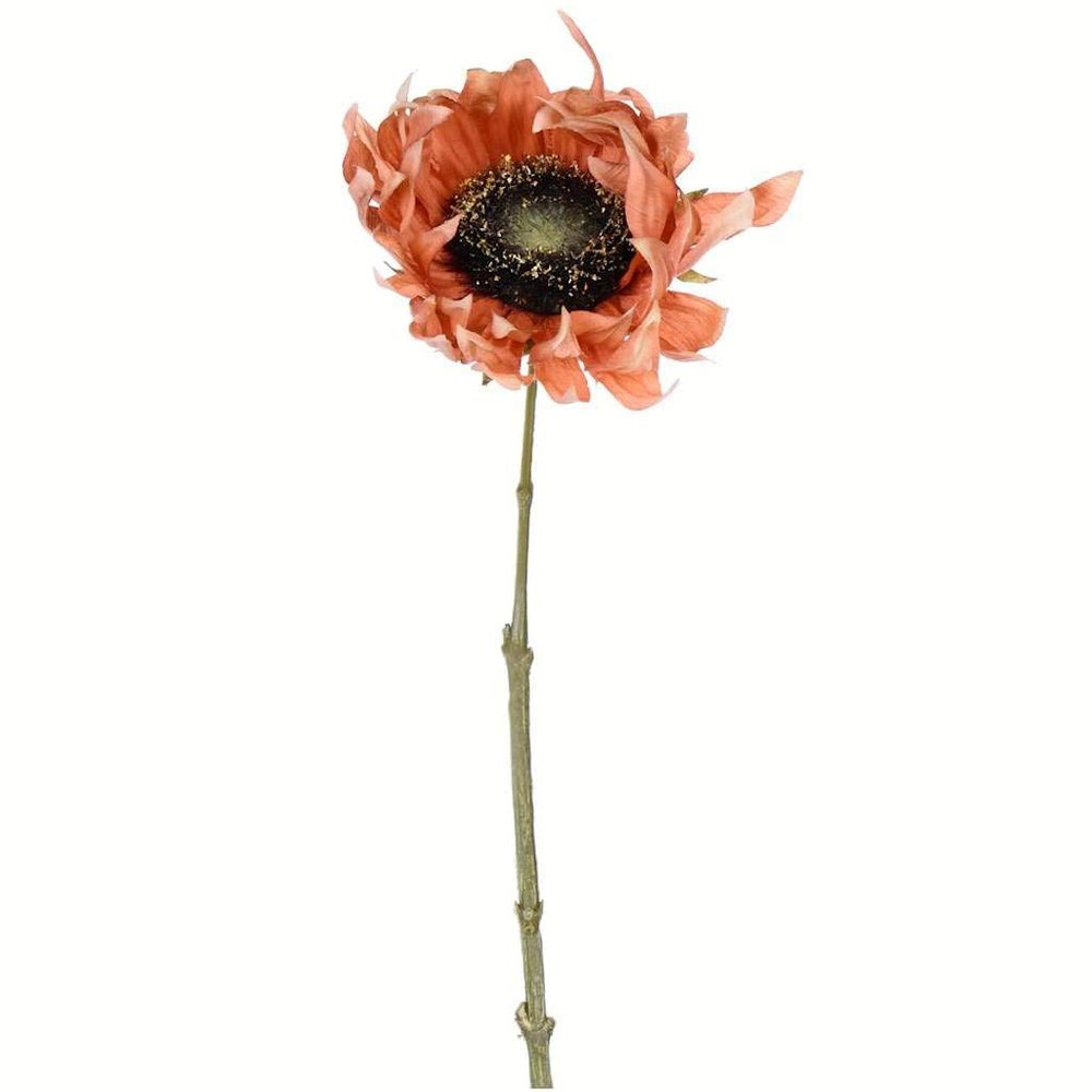 24 Brown Sunflower Stem 4/Pk