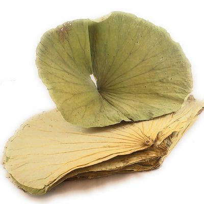Dried Lotus Leaf (Wholesale) 1 LB x 30 Bags 