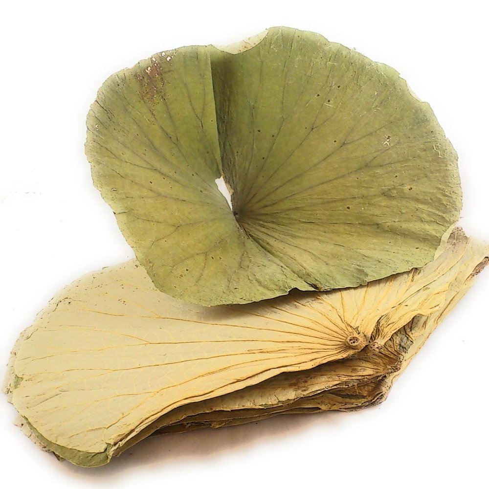 Dried Lotus Leaf (Wholesale) 1 LB x 30 Bags