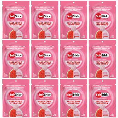 SaltStick Electrolyte FastChews - 120 Count Watermelon Flavor - Chewable Electrolyte Tablets for Hydration, Salt Tabs - 10 Count (Pack of 12)