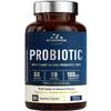 Probiotic 60 Billion 19 Strains with Organic Prebiotic for Men & Women, Digestive & Immune Health, Shelf Stable Delayed Release, Non-GMO No Dairy, 60 Vegan Caps view 1