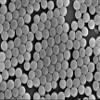 Alpha Nanotech Colloidal Polystyrene Beads (Non-Functionalized; 100 nm, 50 mg/ml, 10 ml) view 1