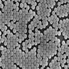 Alpha Nanotech Colloidal Polystyrene Beads (Non-Functionalized; 100 nm, 50 mg/ml, 10 ml) view 2