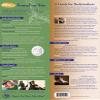 Ohm Therapeutics Massage Therapy Chart  A Guide for Bodywork Practitioners and Sound Therapy demonstrating Ohm Tuning Fork Applications for Chair & Table Massage view 2