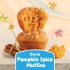 Kellogg's Frosted Mini Wheats Breakfast Cereal, Fiber Cereal, Kids Snacks, Family Size, Pumpkin Pie Spice, 22oz Box (1 Box) view 4