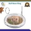 Bull Cow Stainless Steel Nose Ring Traction Tool by G.S Online Store view 2