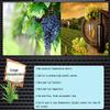 3PCS Yeast 5g home-brewed wine dedicated 18% vol wine yeast Fermentation active dry yeast vodka beer wine brewing yeast accessories view 3