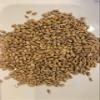 North Georgia Still Company's Fermentation Kit for Moonshine, Malted Rye & Wheat Whiskey, DIY 5 Gallon Mash Kit view 3