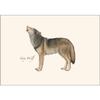 Earth Sky + Water - Gray Wolf Notecard Set - 8 Blank Cards with Envelopes view 2