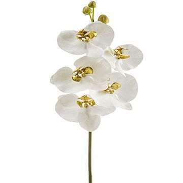 Arcadia Silk Plantation 33" Phalaenopsis Orchid Spray with 5 Flowers and 3 Buds White Gold (Pack of 6)