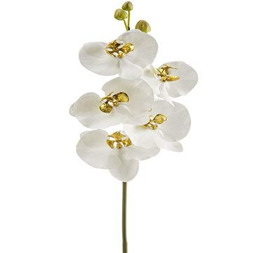 Arcadia Silk Plantation 33" Phalaenopsis Orchid Spray with 5 Flowers and 3 Buds White Gold (Pack of 6)