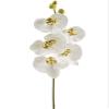 Arcadia Silk Plantation 33" Phalaenopsis Orchid Spray with 5 Flowers and 3 Buds White Gold (Pack of 6) view 1