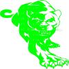 1/2 Sheet - Green Panther Cougar Mascot Birthday - D22458 - 2D Edible Cake/Cupcake Party Topper - D22458 view 1