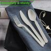 GreenWorks 1000 Heavy-duty Compostable Spoons,BPI Certified 7" Series Large Bulk Disposable Cutlery Spoon view 4
