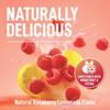 Keppi Electrolytes Powder  Raspberry Lemonade Flavor 50 Servings  No Sugar Hydration Supplement with Magnesium, Potassium, Sodium  Keto, Vegan, Fasting-Friendly, Zero Calorie Electrolyte Drink view 2