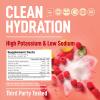Keppi Electrolytes Powder  Raspberry Lemonade Flavor 50 Servings  No Sugar Hydration Supplement with Magnesium, Potassium, Sodium  Keto, Vegan, Fasting-Friendly, Zero Calorie Electrolyte Drink view 3