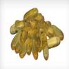 Essential Omegas - a high Potency Blend of Omega-3s for Optimal cognition view 3