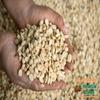 100% KA'U COFFEE WHOLE BEANS (MEDIUM ROAST, 8 OZ) view 2
