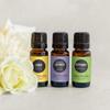Edens Garden Top Essential Oils 3 Set  100% Pure Therapeutic Grade, Undiluted Aromatherapy Scents: Lavender, Peppermint & Eucalyptus Oil for Diffusers & Home  Natural Wellness Gift, 10 ml/ 3 Pack view 2