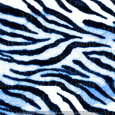 1/2 Sheet - Blue Zebra Print Birthday - D24124 - 2D Edible Cake/Cupcake Party Topper - D24124
