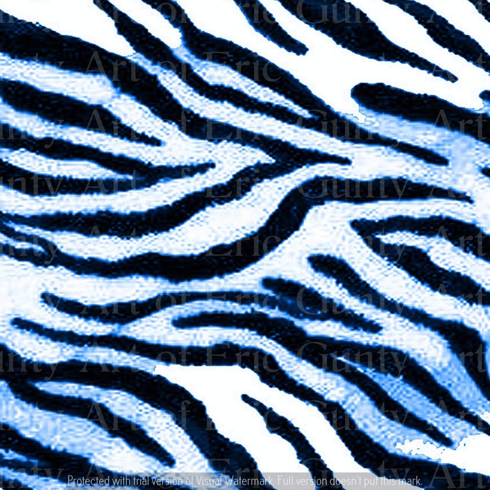 1/2 Sheet - Blue Zebra Print Birthday - D24124 - 2D Edible Cake/Cupcake Party Topper - D24124