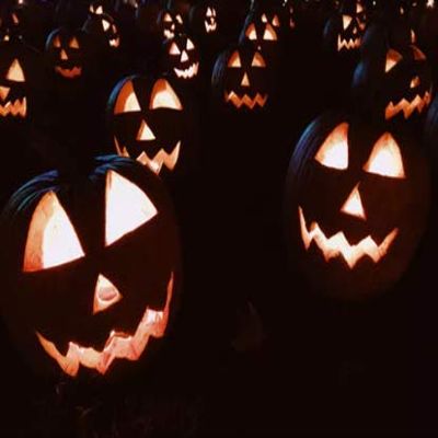 Headless Horseman Pumpkin Ale 5 Gallon Beer Extract Ingredient Kit - by My Brew Supply