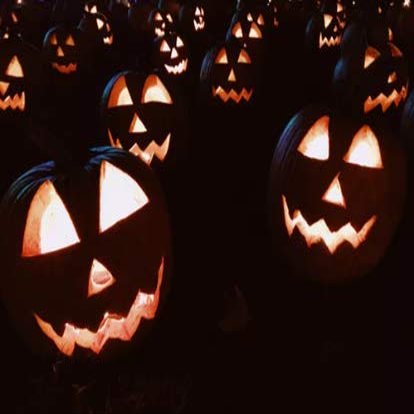 Headless Horseman Pumpkin Ale 5 Gallon Beer Extract Ingredient Kit - by My Brew Supply
