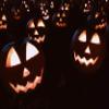 Headless Horseman Pumpkin Ale 5 Gallon Beer Extract Ingredient Kit - by My Brew Supply view 1