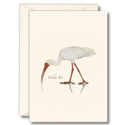 Earth Sky + Water - White Ibis Notecard Set - 8 Blank Cards with Envelopes