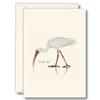 Earth Sky + Water - White Ibis Notecard Set - 8 Blank Cards with Envelopes view 1