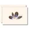 Earth Sky + Water - Blue Mussels Notecard Set - 8 Blank Cards with Envelopes view 1