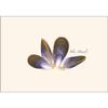 Earth Sky + Water - Blue Mussels Notecard Set - 8 Blank Cards with Envelopes view 2