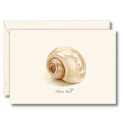 Earth Sky + Water - Moon Shell Notecard Set - 8 Blank Cards with Envelopes