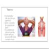 Rollit Therapy Pair of 2.75 inch (Intermedius) Soft Rubber Massage Balls view 4