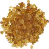  (1 LB) Tao Jiao / Prunus Persica view 2