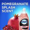 Dawn Gentle Clean Dishwashing Liquid, Pomegranate & Rose Water view 2