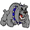 1/2 Sheet - Blue Collar Bulldog Mascot Birthday - D24155-2D Edible Cake/Cupcake Party Topper - D24155 view 1