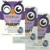 Kids Vision Support Bilberry 120 Chew Tablets Made in New_Zealand Children's Eye Health Formula (3 Pack) view 1