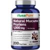 NusaPure Mucuna Pruriens 1000mg 200 Veggie Caps (Non-GMO, 100% Vegetarian, Vegan) view 1