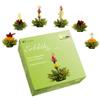 Creano Tea Flowers Mix - Blooming Green Tea, Fruity Flavoured (Roses in 6 Varieties), Flowering Set view 1