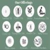 Greenwood Essential Pure Olibanum Essential Oil (Boswellia carterii) with Glass Dropper Steam Distilled 10ml (0.33 oz) view 4